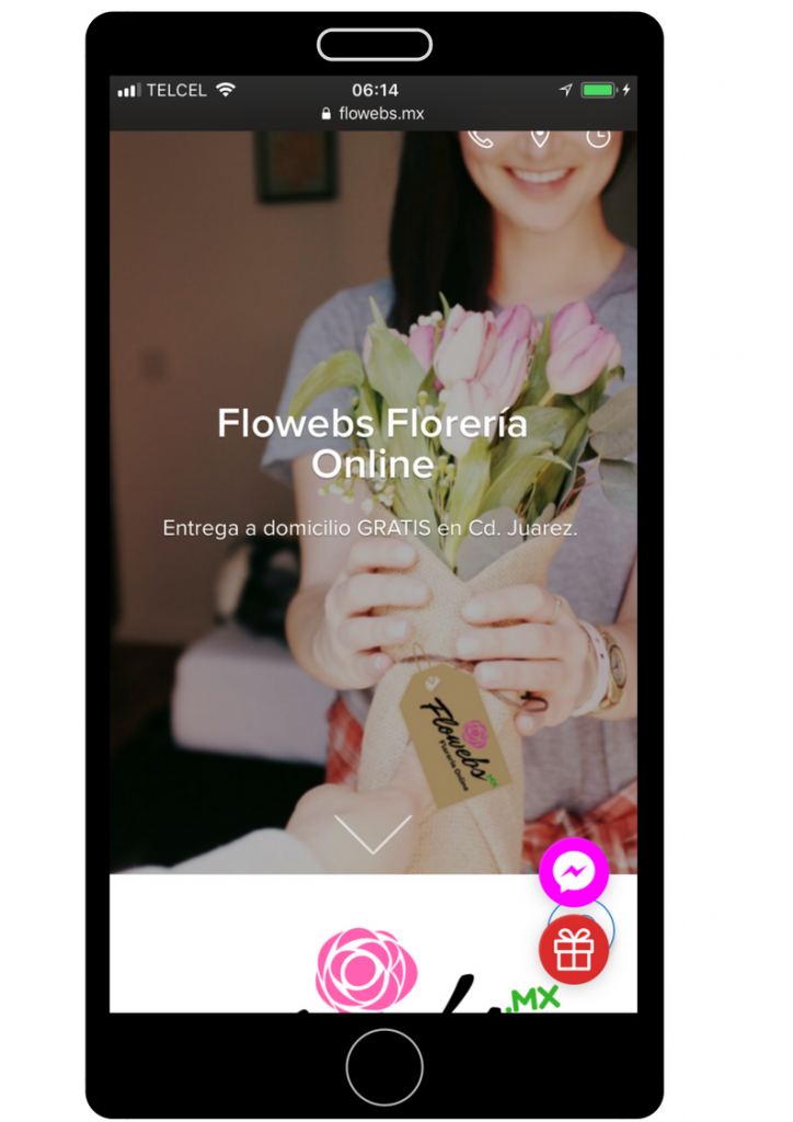 tienda online Floreria Flowebs